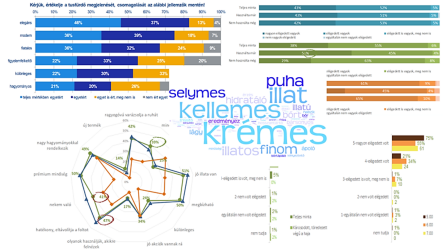 REPREZENTATÍV KUTATÁSOK esettanulmány képe