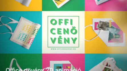 OFFICENÖVÉNY SOCIAL ANIMÁCIÓ esettanulmány képe